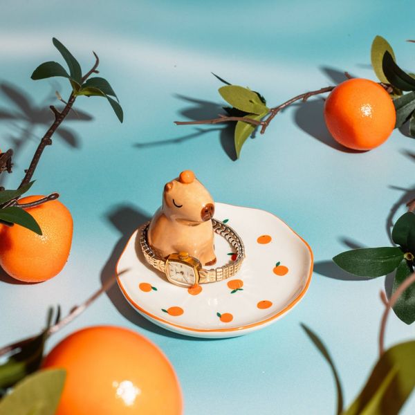 Hovedbilde SMYKKESKÅL – Capybara – Sass & Belle