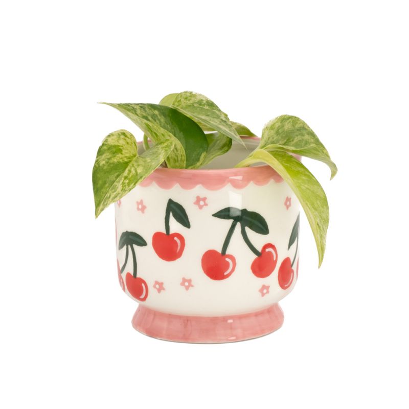 LITEN BLOMSTERPOTTE – Kirsebær – Sass & Belle
