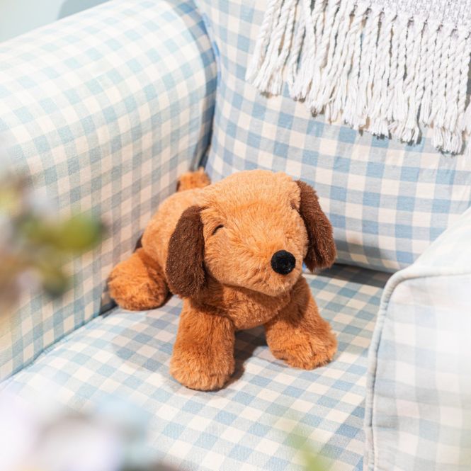 Hovedbilde KOSEDYR – Dachshund – Sass & Belle