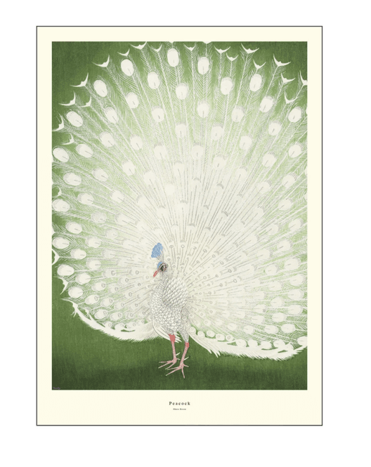 Hovedbilde PLAKAT - Peacock - 30 X 40 cm. - A.P. Atelier