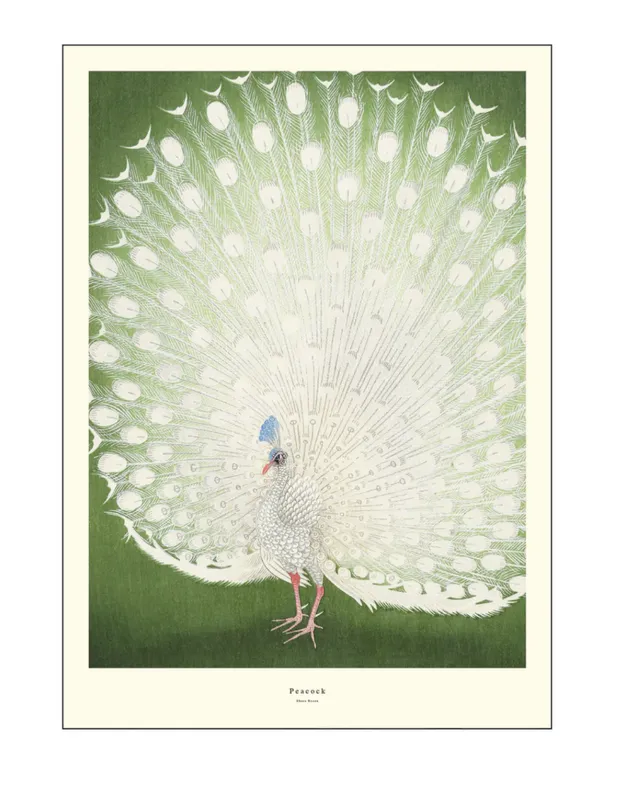 PLAKAT - Peacock - 30 X 40 cm. - A.P. Atelier