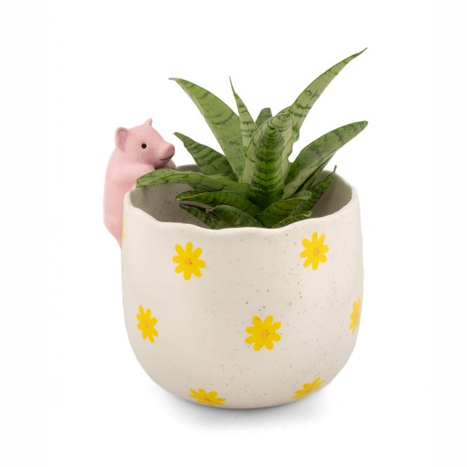 Hovedbilde BLOMSTERPOTTE – Gris på kanten – Sass & Belle