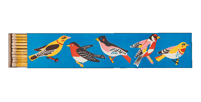 LANGE FYRSTIKKER – Birdy – Archivist